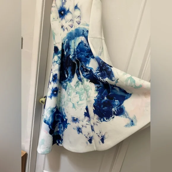 Floral Sleeveless Dress in Blue and White - Picture 9 of 10